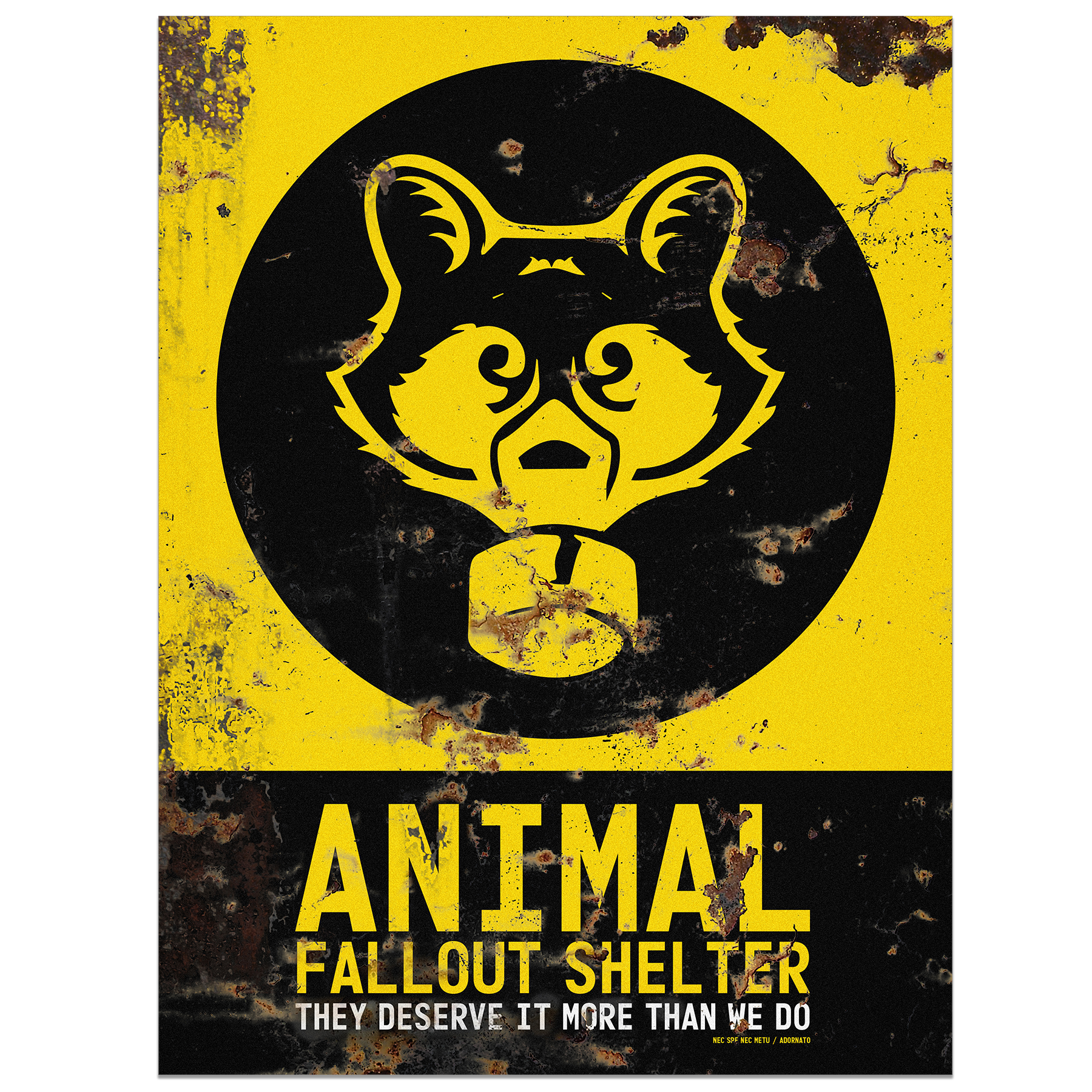 Poster: Raccoon Fallout